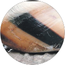 AGRI TRAC profile picture